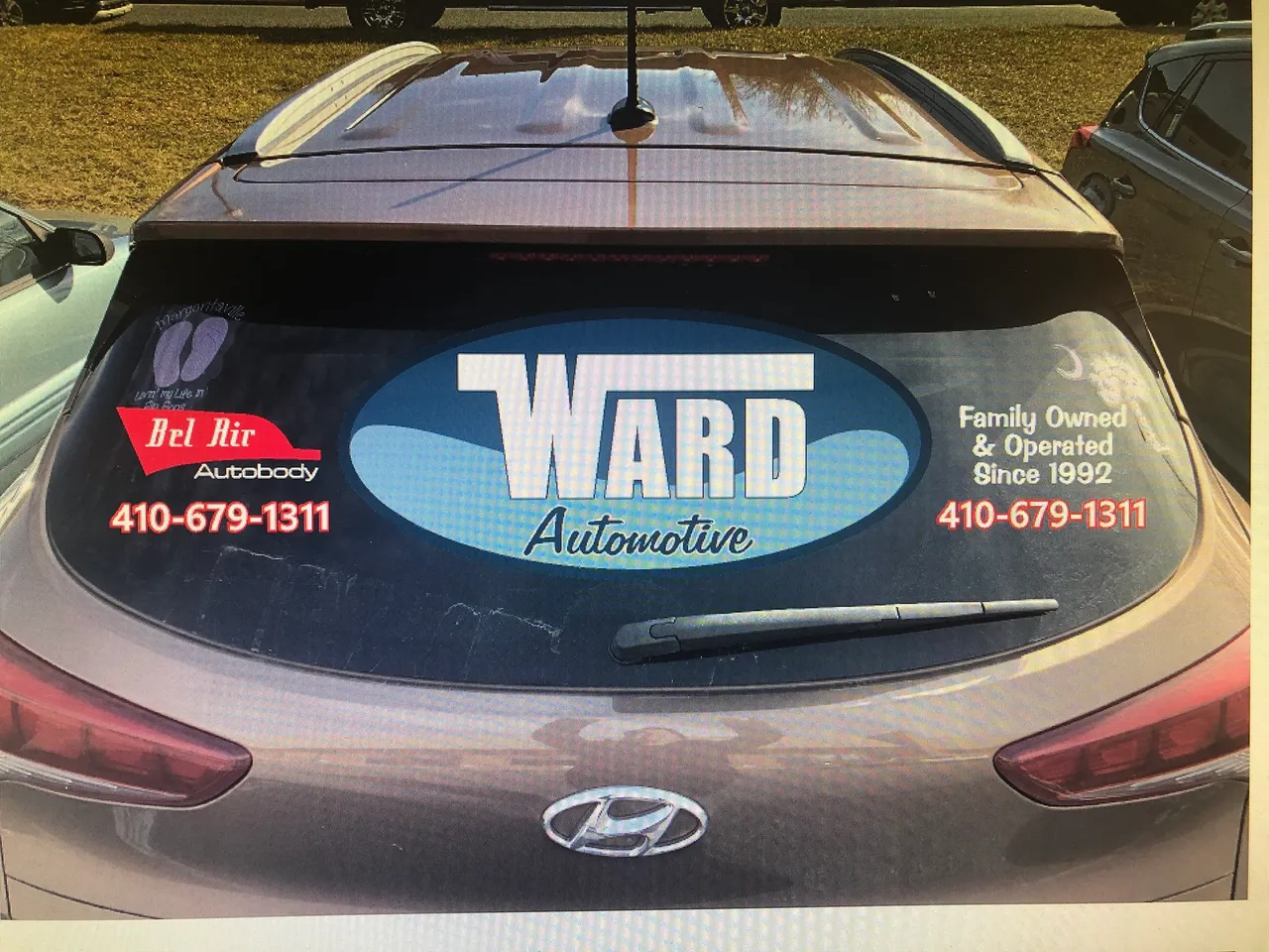 Perforated Window Vinyl