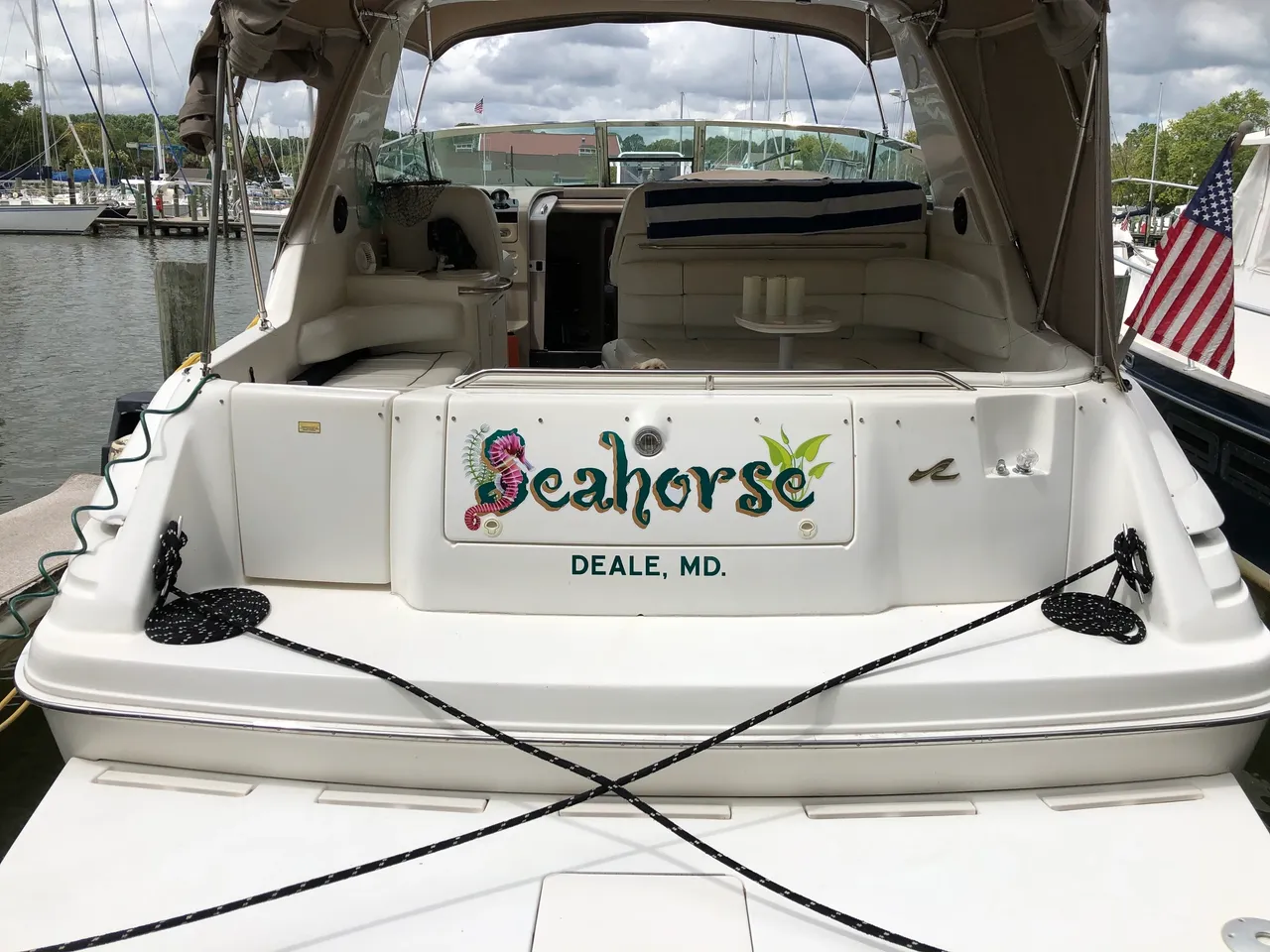 Premium Vinyls - Seahorse